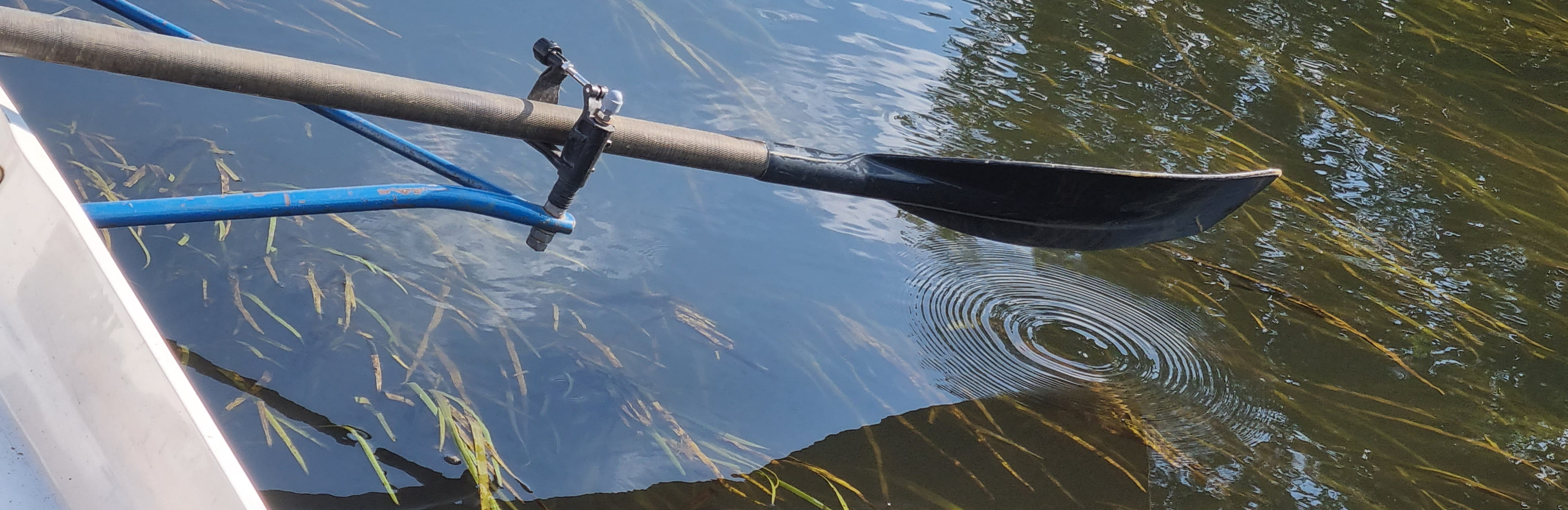 Ein Skull erzeugt eine Ringwelle auf dem Wasser.